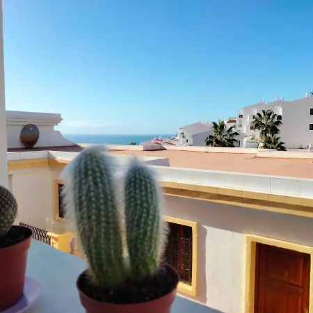 Windsor Park Atlantic View *